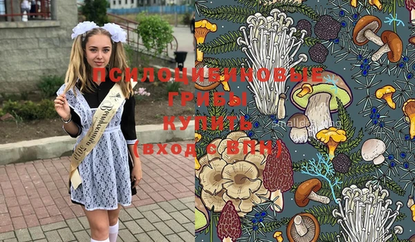 героин Богданович