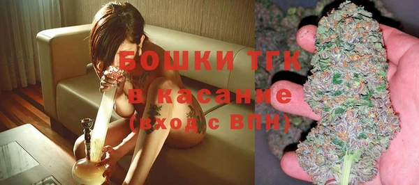стаф Богородицк