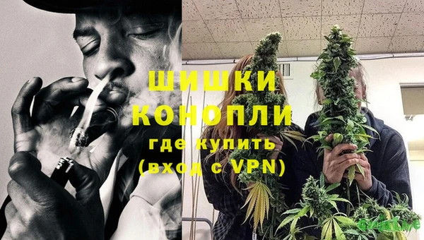 героин Богданович
