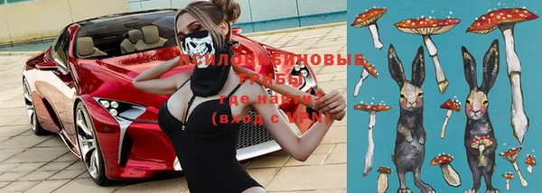 героин Богданович