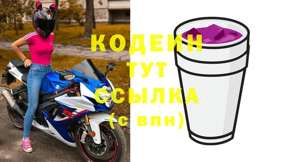 стаф Богородицк
